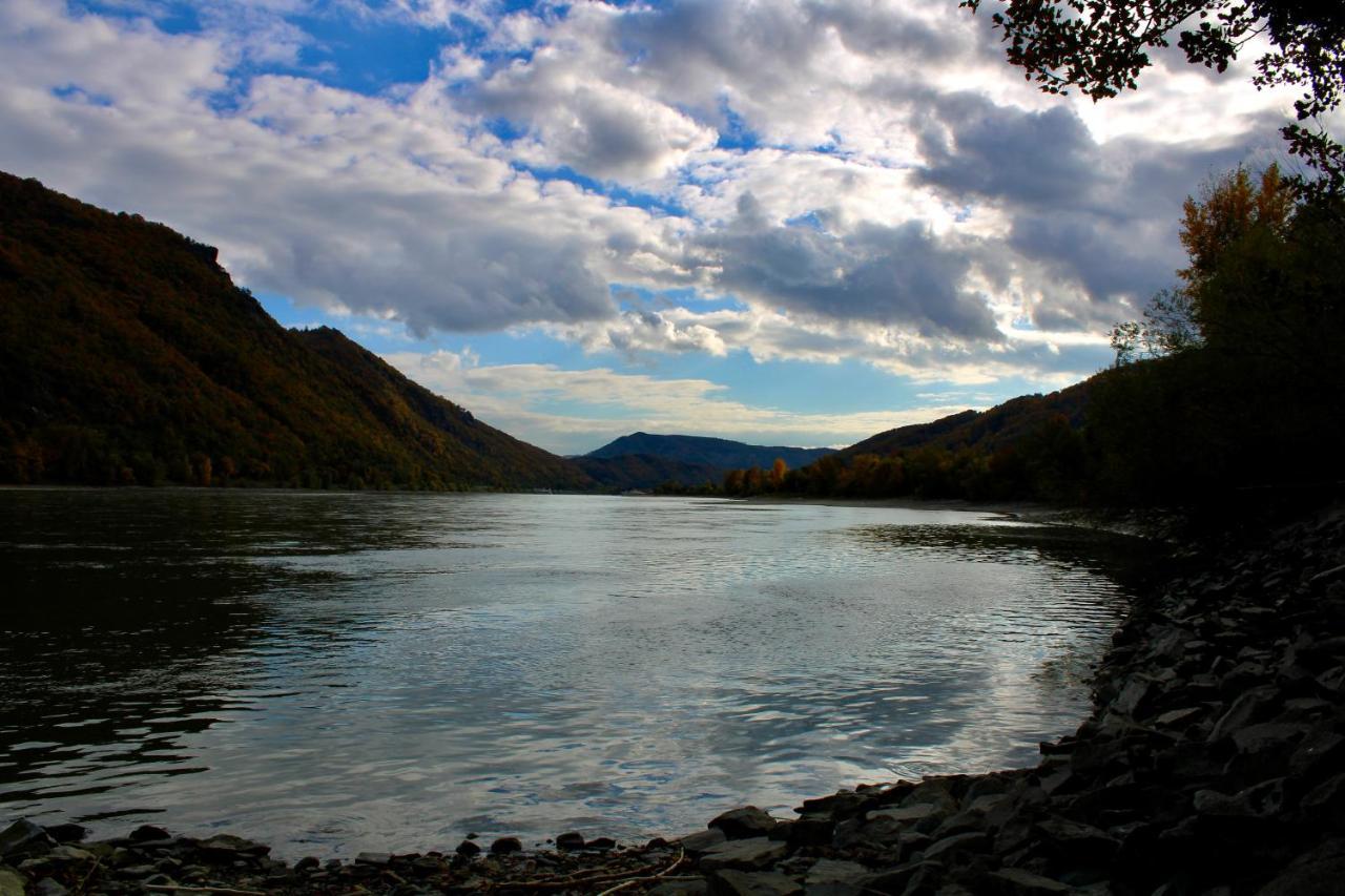 Haus-Donau In Der Wachau Apartment Aggsbach Bagian luar foto
