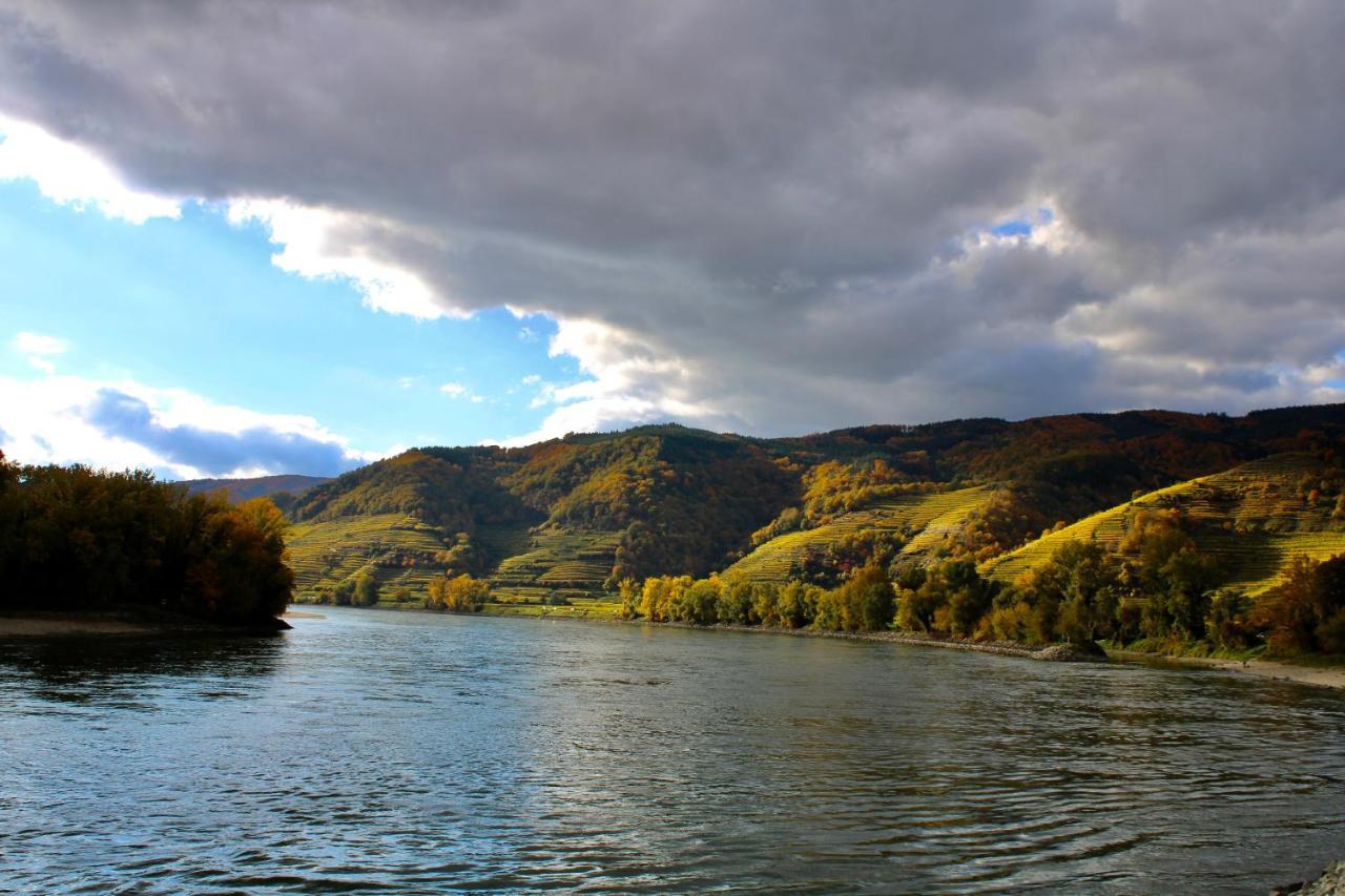 Haus-Donau In Der Wachau Apartment Aggsbach Bagian luar foto