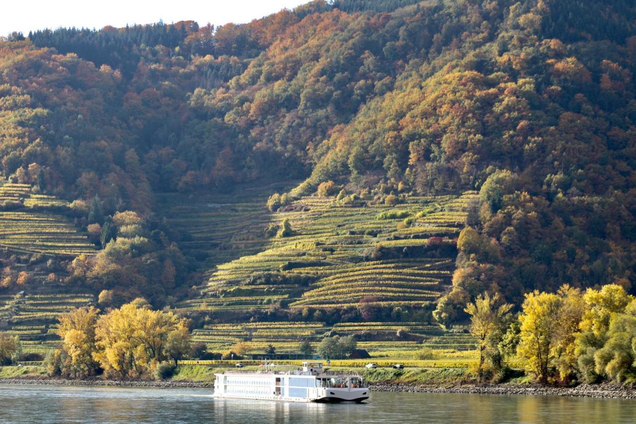 Haus-Donau In Der Wachau Apartment Aggsbach Bagian luar foto