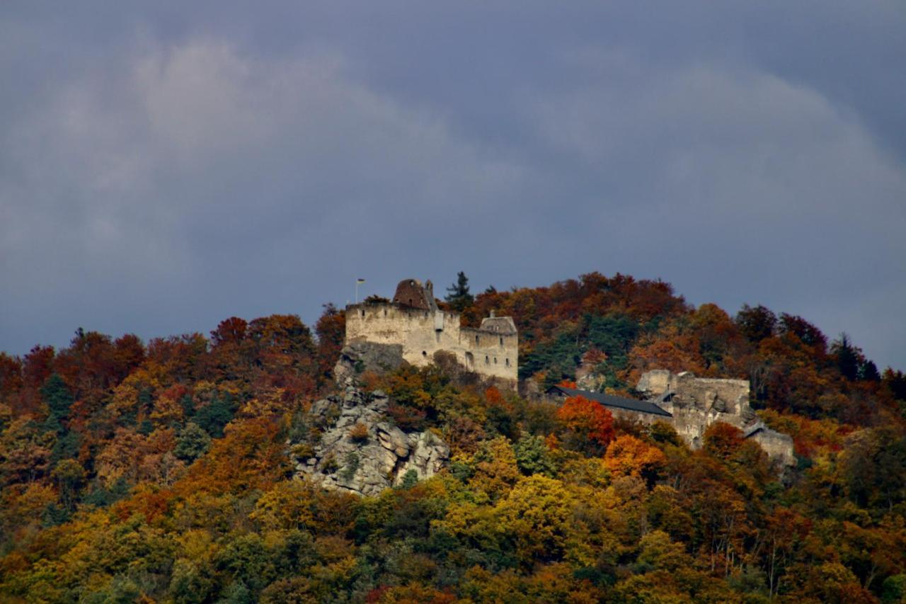 Haus-Donau In Der Wachau Apartment Aggsbach Bagian luar foto